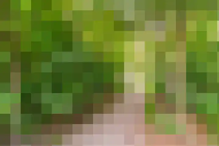 Tonnenbergerhout 66 Harderwijk thumbnail 57