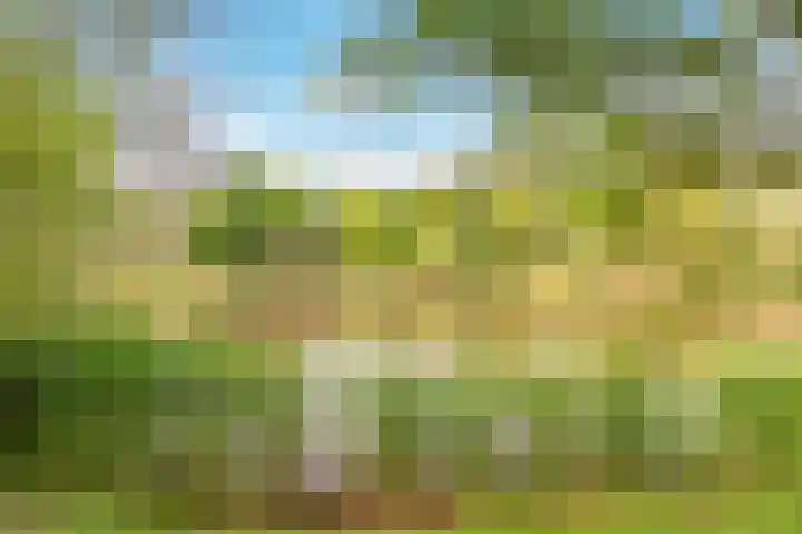 Tonnenbergerhout 66 Harderwijk thumbnail 58