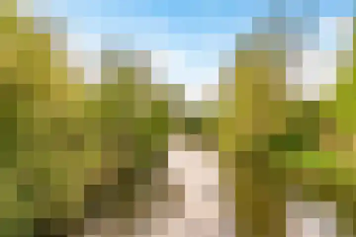 Tonnenbergerhout 66 Harderwijk thumbnail 59