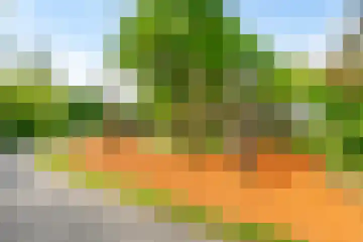 Tonnenbergerhout 66 Harderwijk thumbnail 60