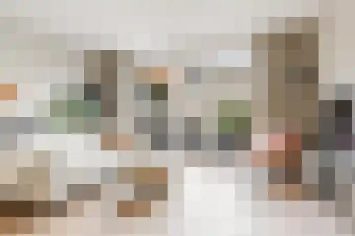 Tonnenbergerhout 66 Harderwijk thumbnail 8