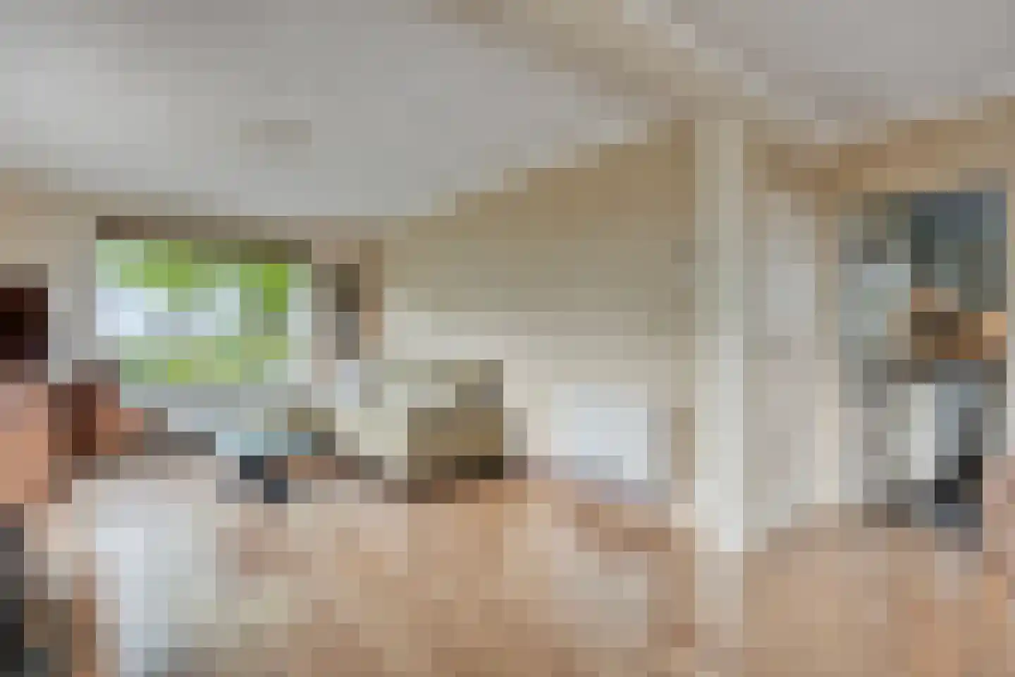 Tonnendijk 138 a Vroomshoop thumbnail 10