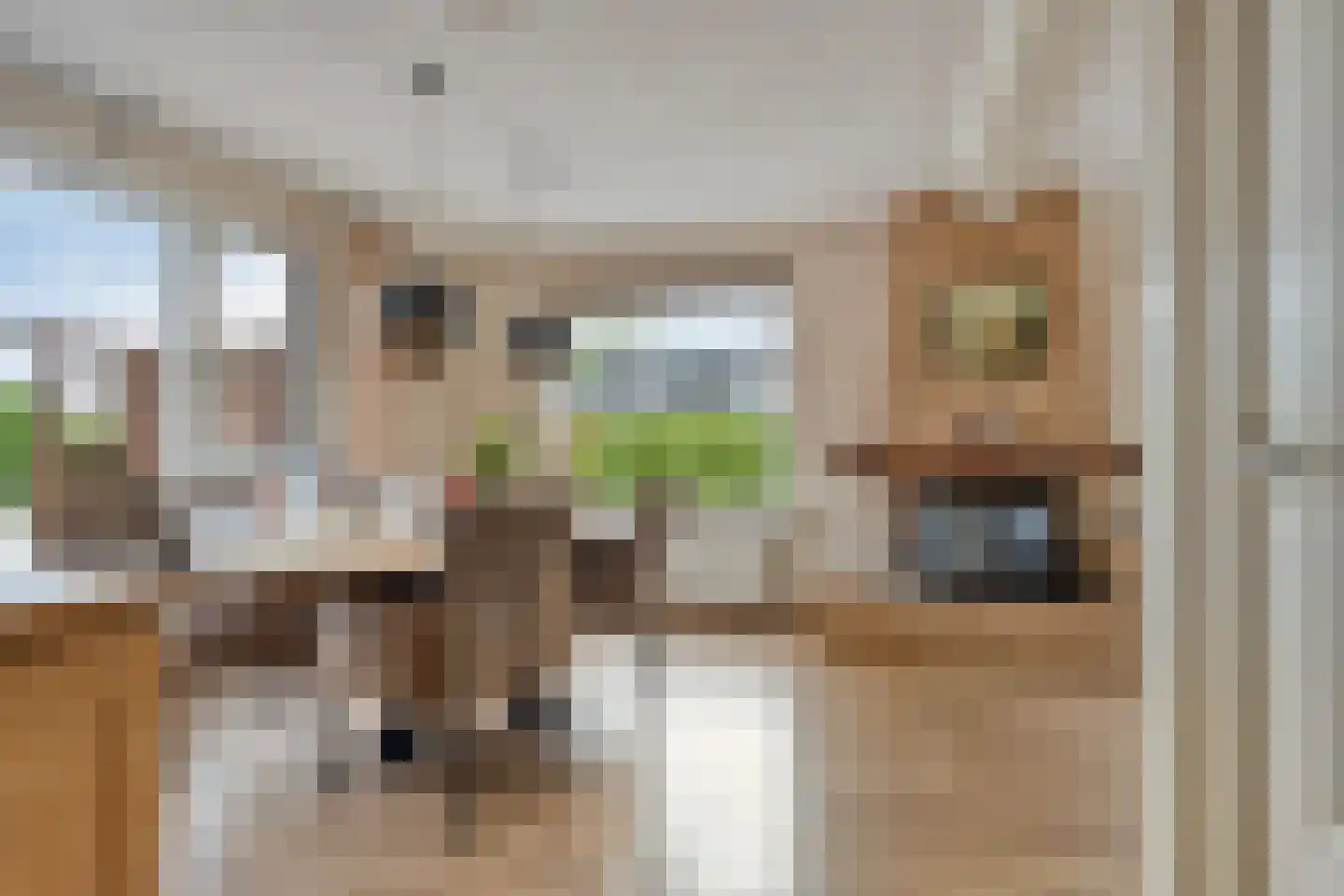 Tonnendijk 138 a Vroomshoop thumbnail 11
