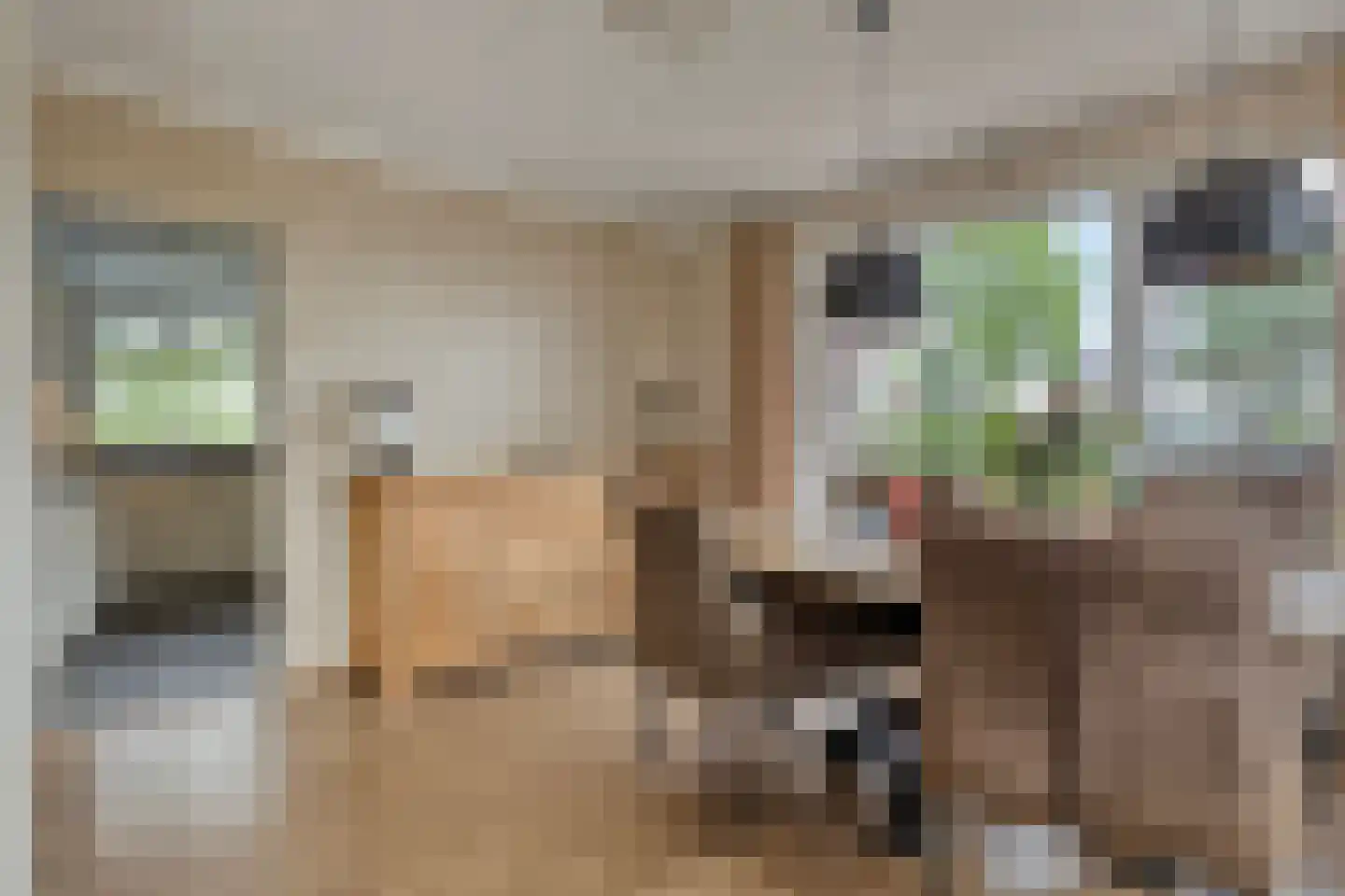 Tonnendijk 138 a Vroomshoop thumbnail 13