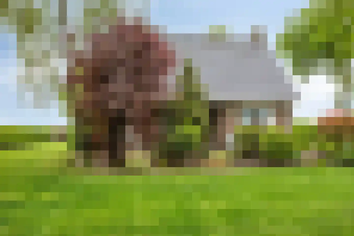 Tonnendijk 138 a Vroomshoop thumbnail 22