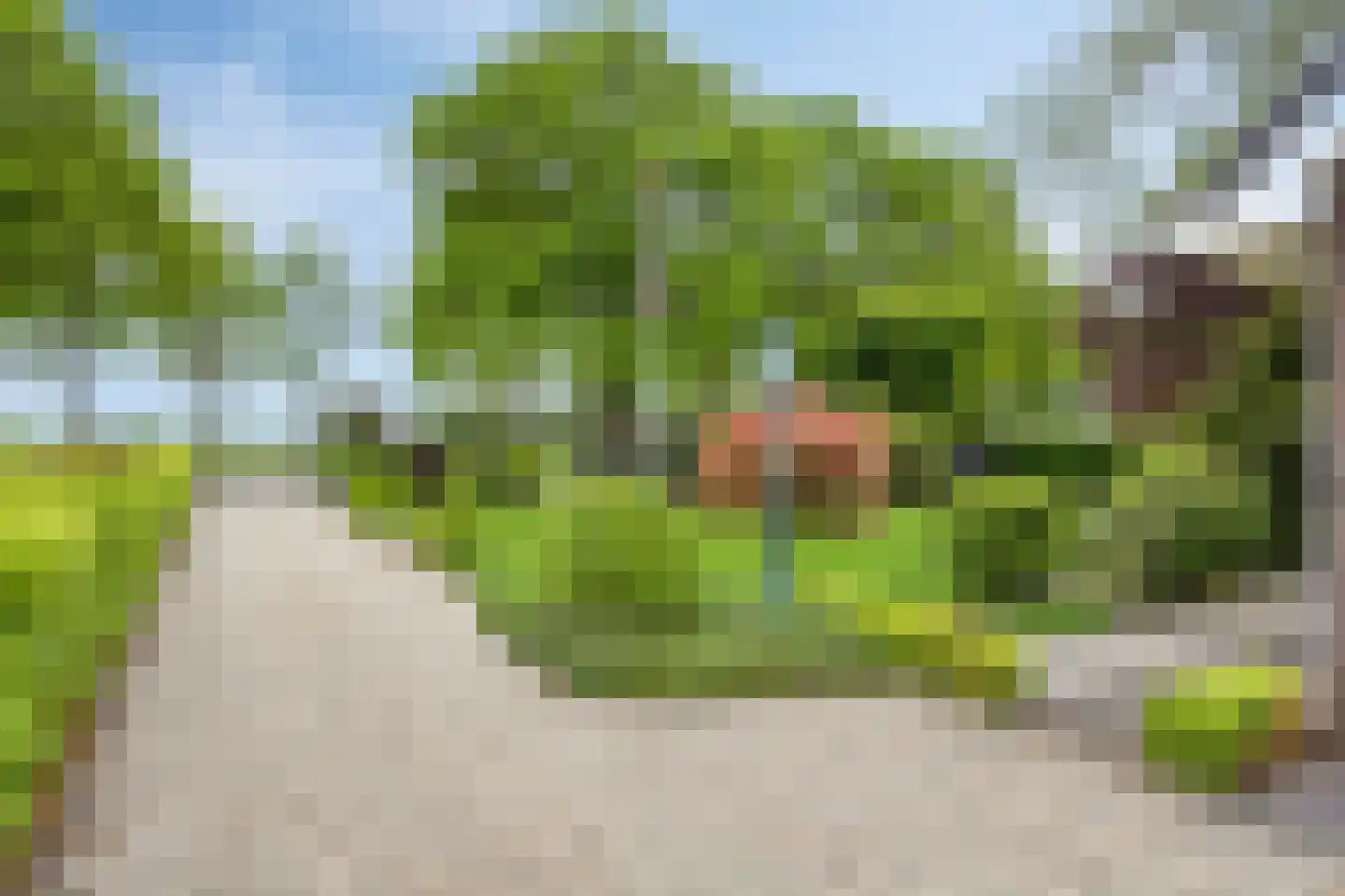 Tonnendijk 138 a Vroomshoop thumbnail 24