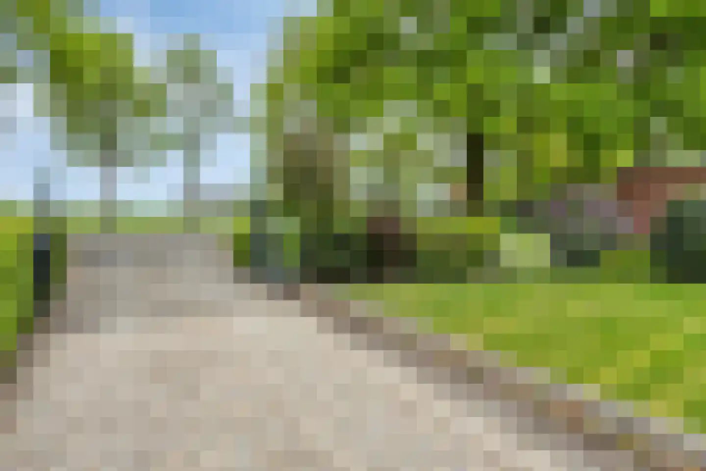 Tonnendijk 138 a Vroomshoop thumbnail 25