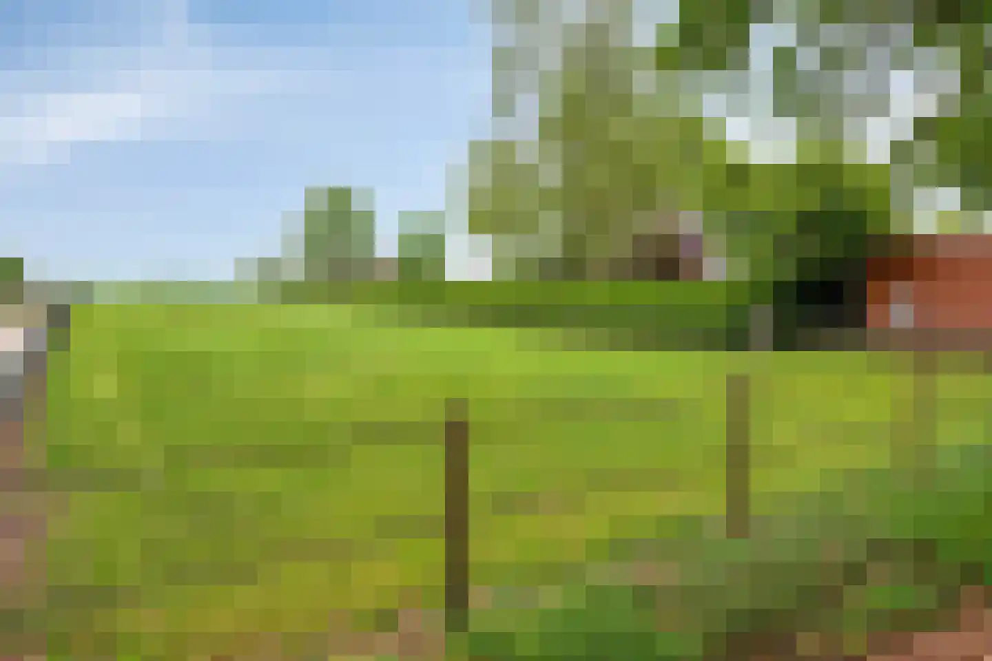 Tonnendijk 138 a Vroomshoop thumbnail 26