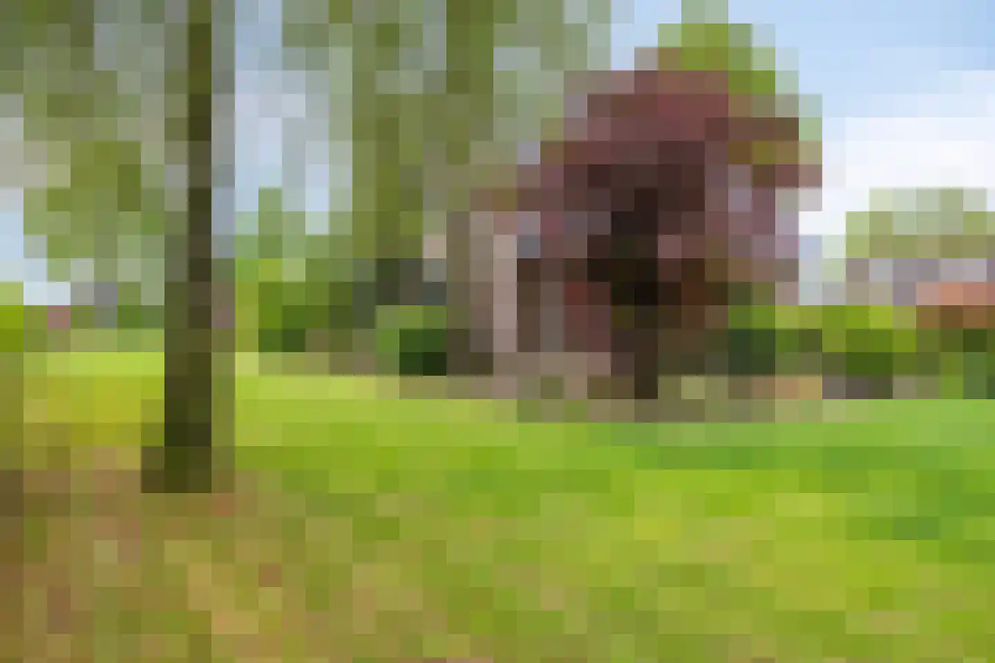Tonnendijk 138 a Vroomshoop thumbnail 27