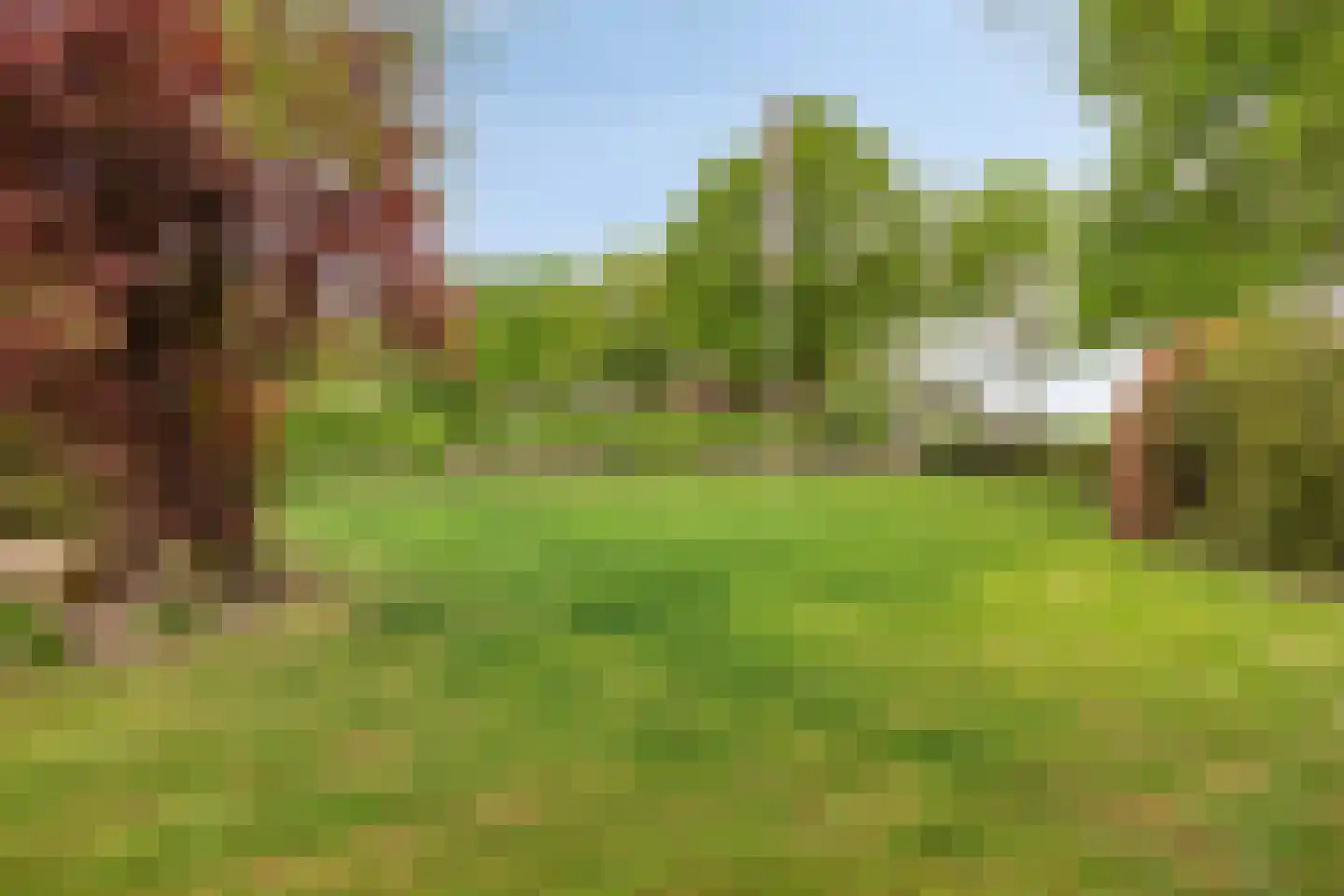 Tonnendijk 138 a Vroomshoop thumbnail 28