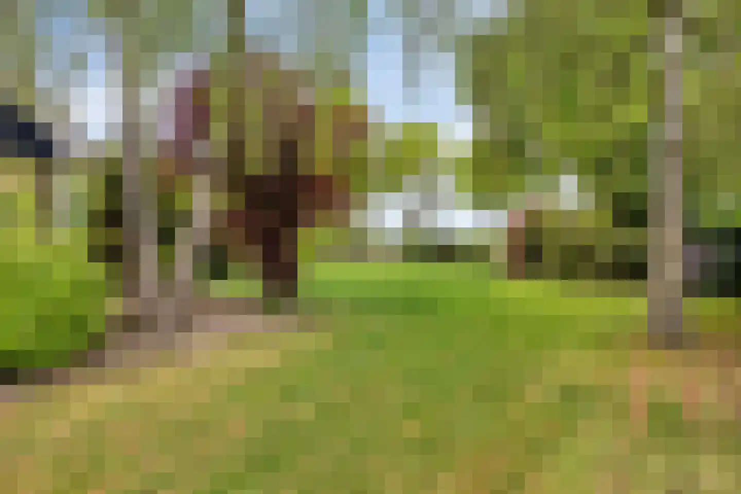 Tonnendijk 138 a Vroomshoop thumbnail 29