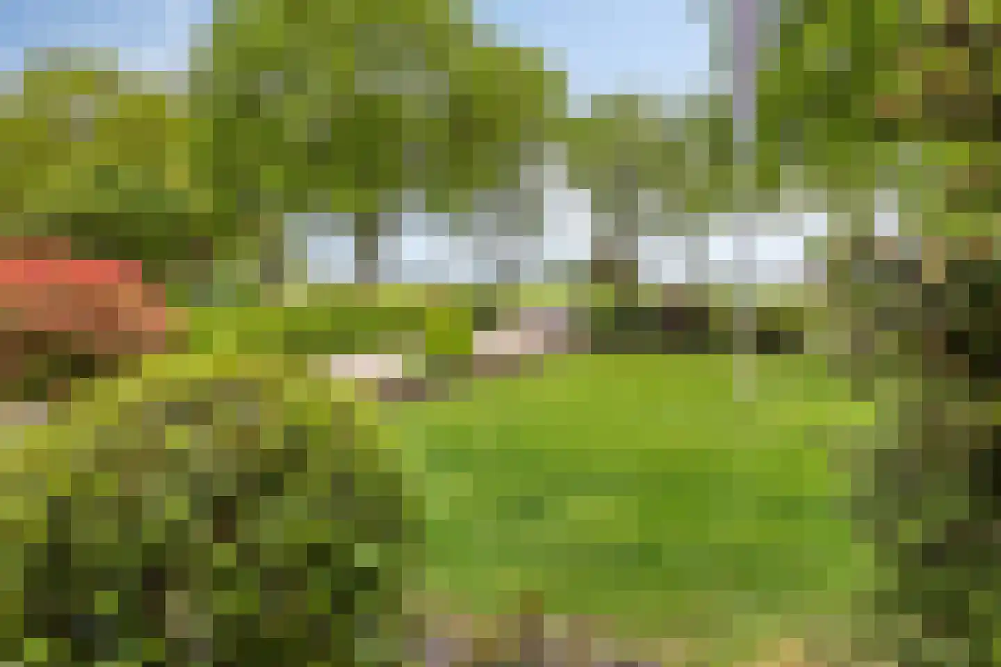 Tonnendijk 138 a Vroomshoop thumbnail 30