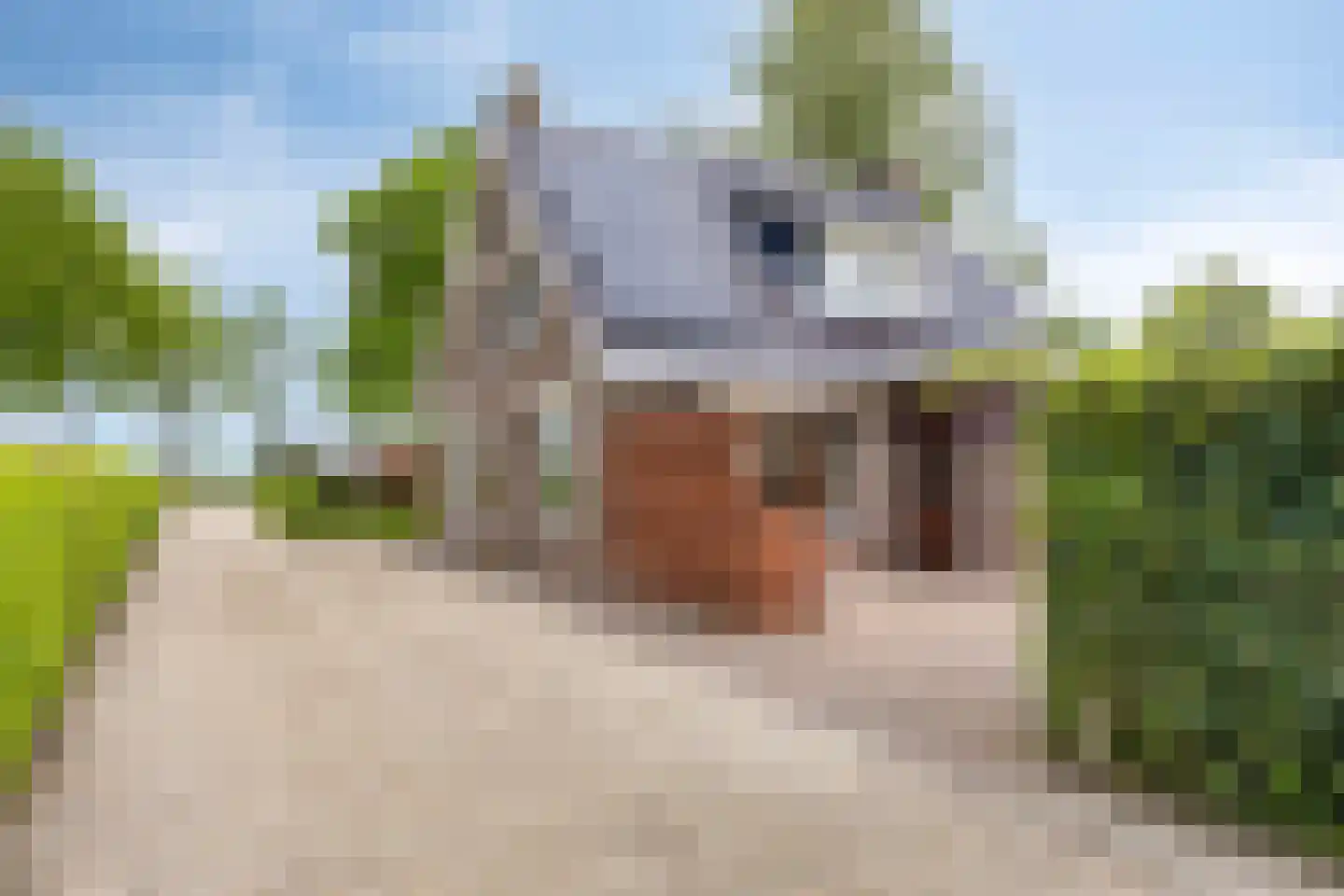 Tonnendijk 138 a Vroomshoop thumbnail 32