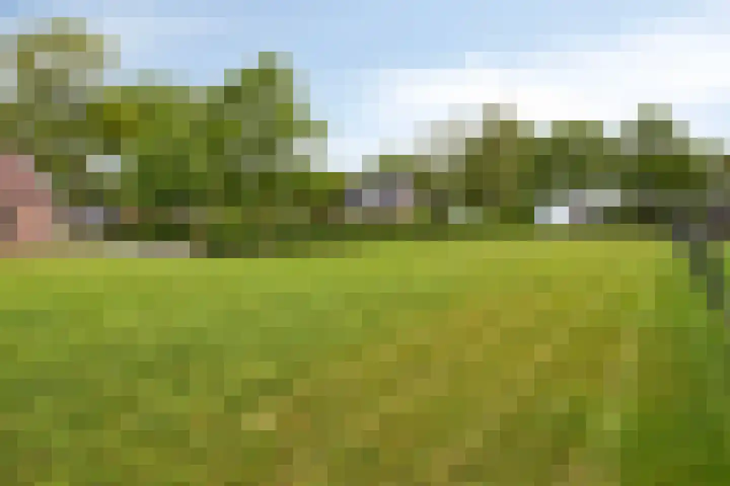 Tonnendijk 138 a Vroomshoop thumbnail 33