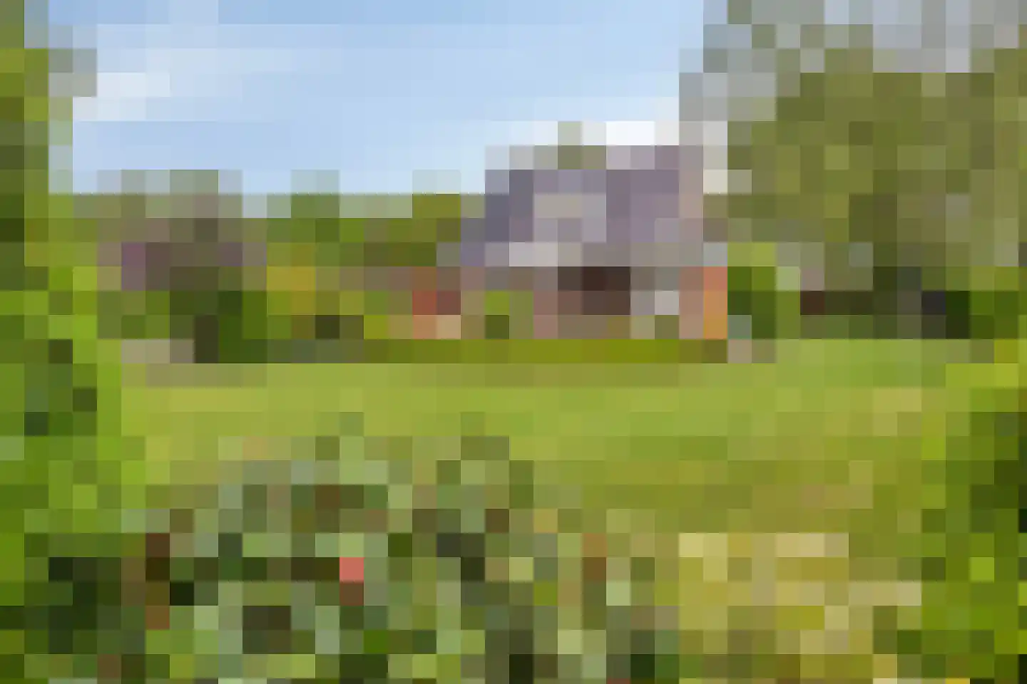 Tonnendijk 138 a Vroomshoop thumbnail 36