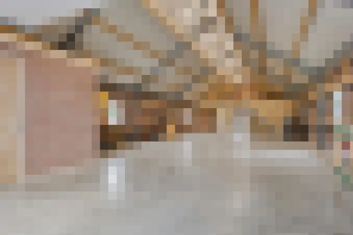 Tonnendijk 138 a Vroomshoop thumbnail 4