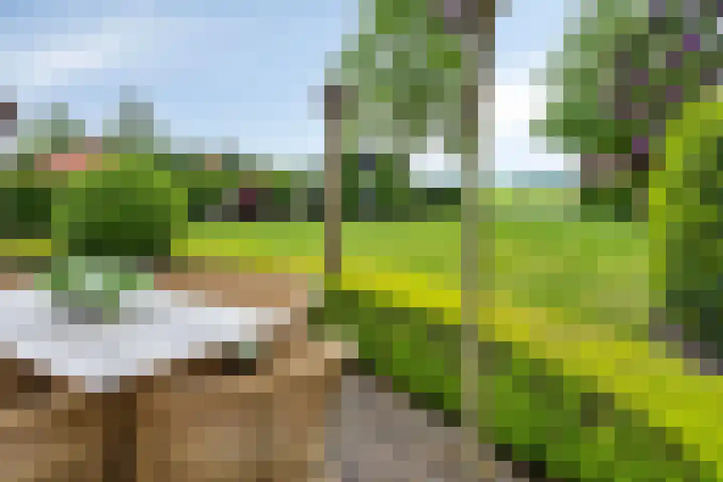 Tonnendijk 138 a Vroomshoop thumbnail 41