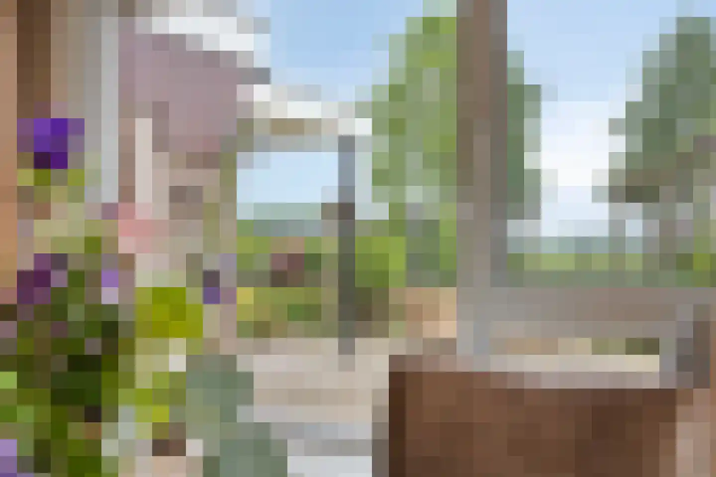 Tonnendijk 138 a Vroomshoop thumbnail 44