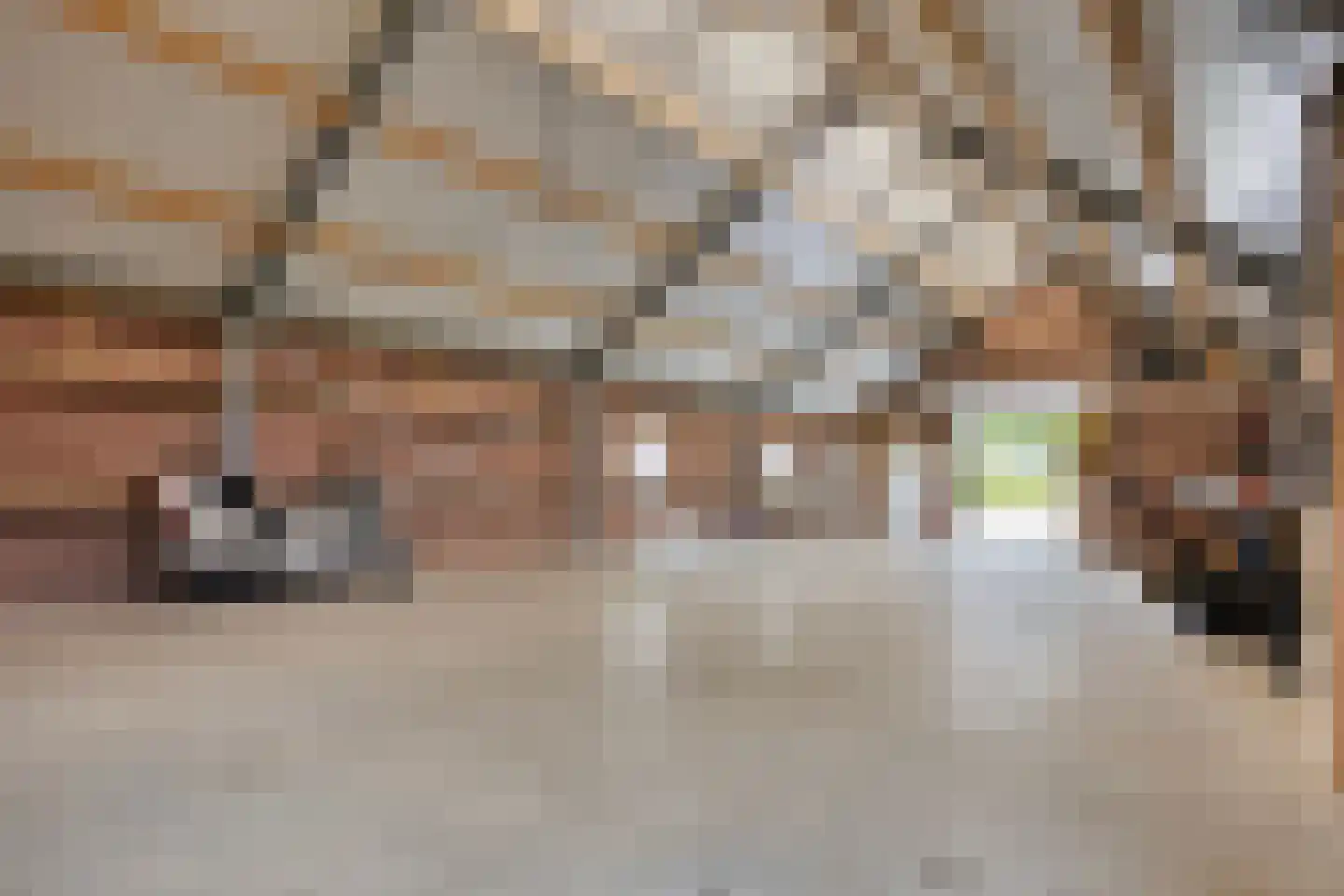 Tonnendijk 138 a Vroomshoop thumbnail 50