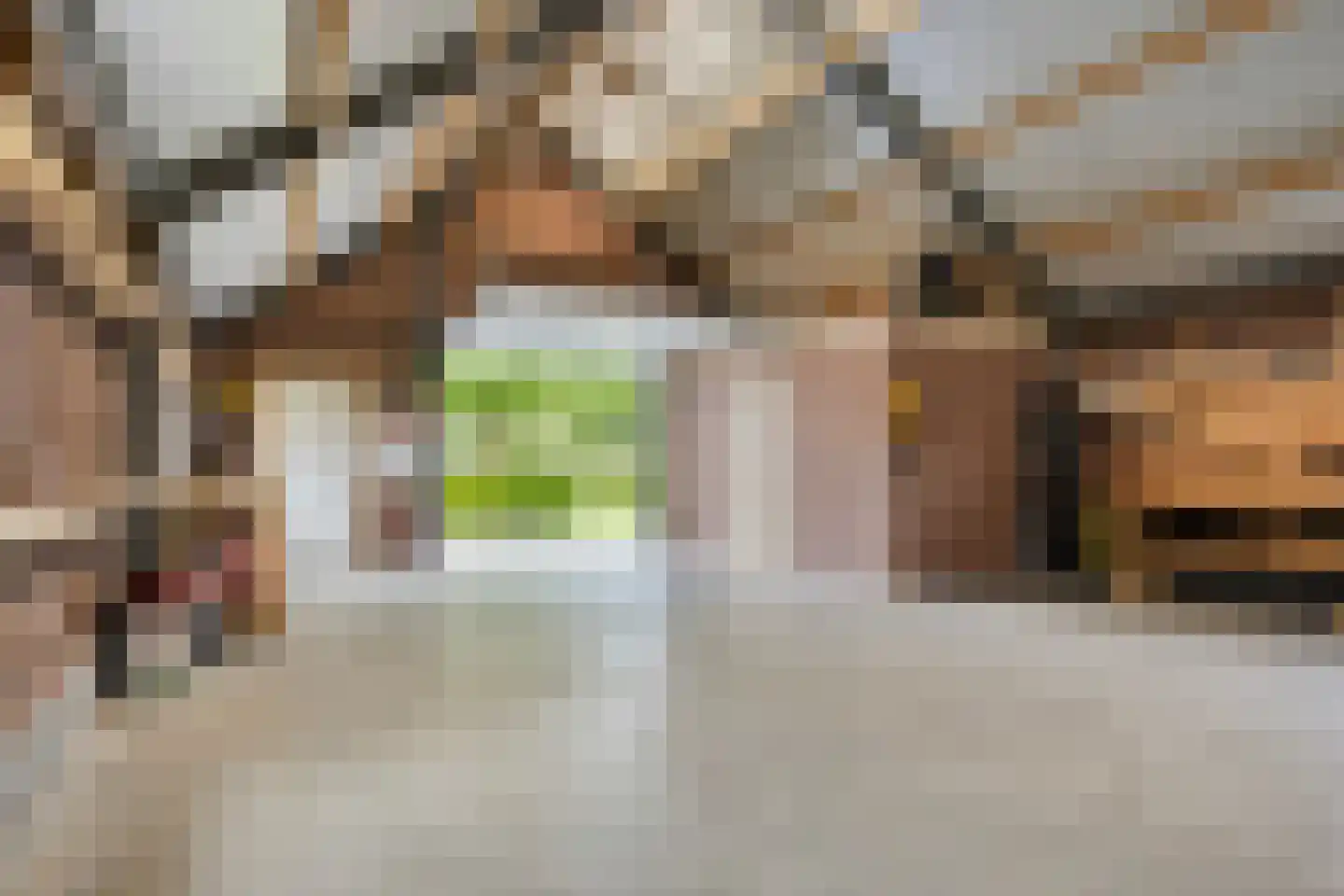 Tonnendijk 138 a Vroomshoop thumbnail 51