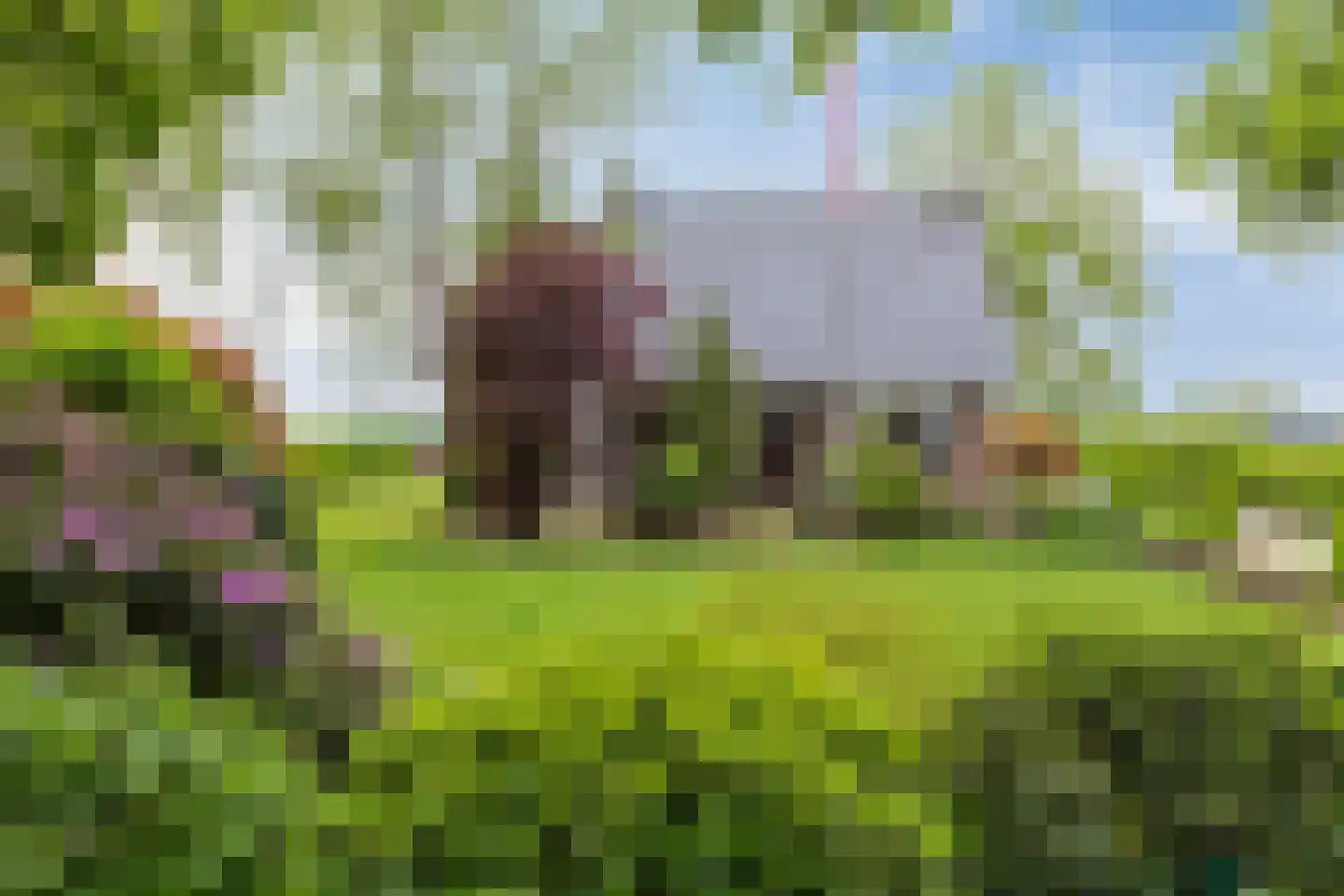 Tonnendijk 138 a Vroomshoop thumbnail 7