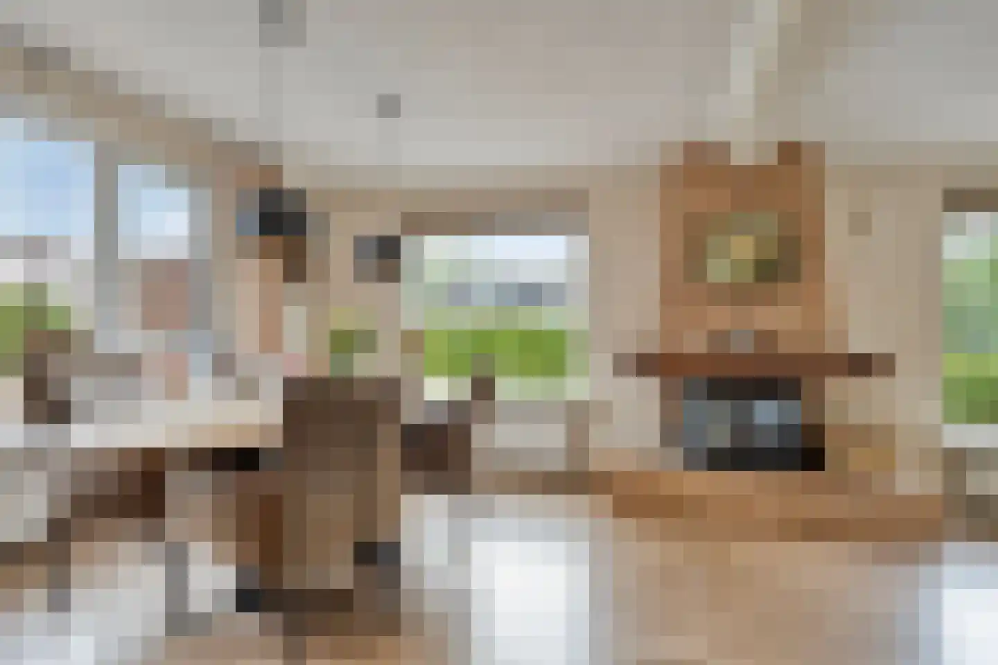 Tonnendijk 138 a Vroomshoop thumbnail 8