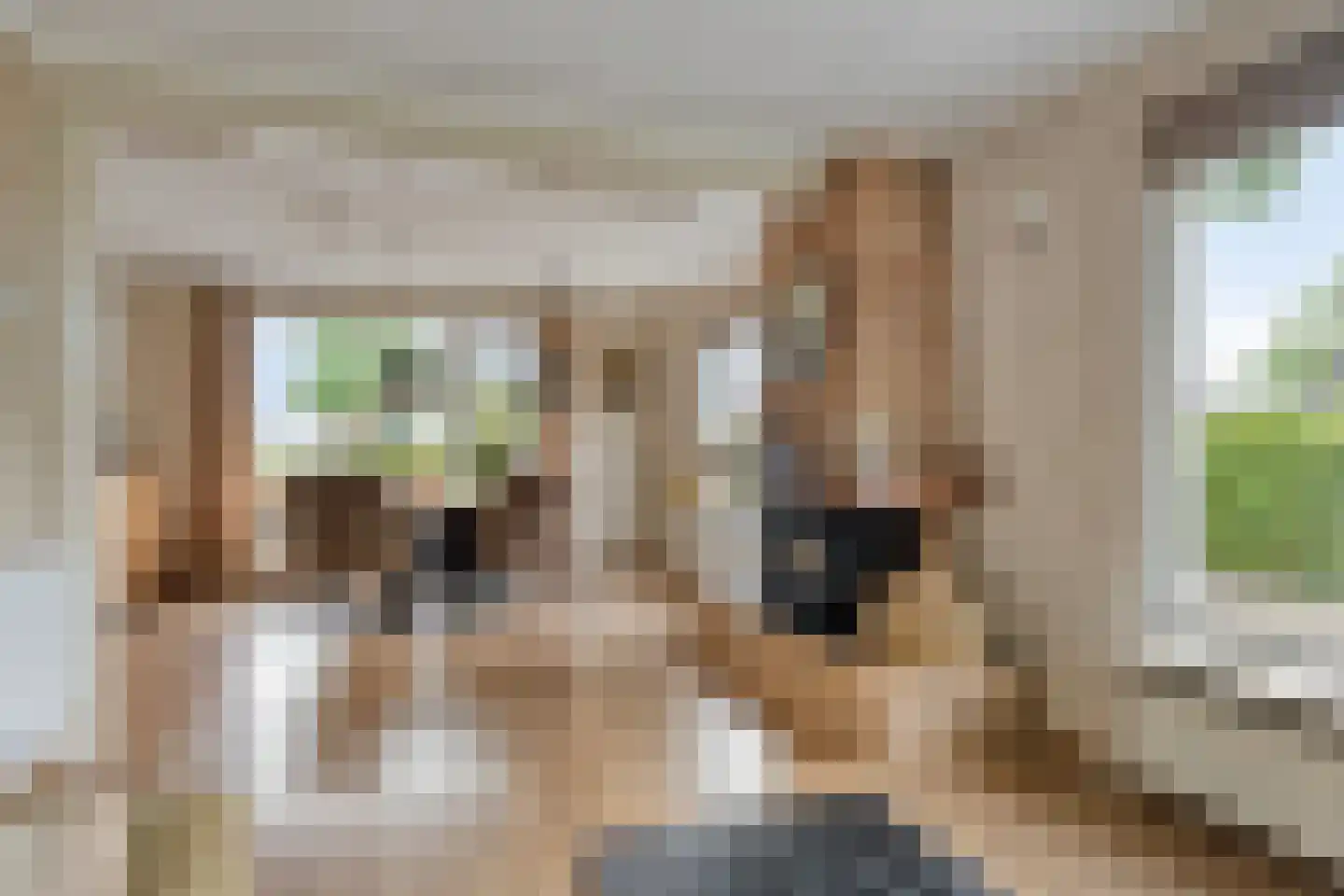 Tonnendijk 138 a Vroomshoop thumbnail 9