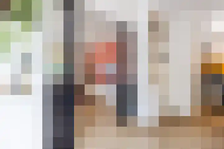 Tonnendijk 52 Vroomshoop thumbnail 10