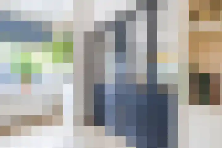 Tonnendijk 52 Vroomshoop thumbnail 11