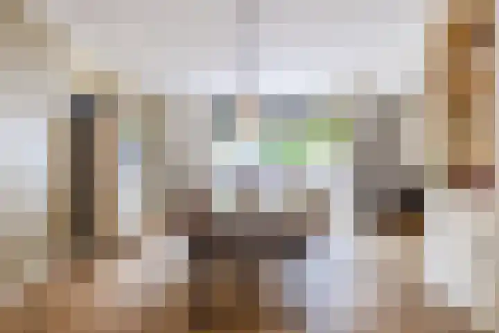 Tonnendijk 52 Vroomshoop thumbnail 12