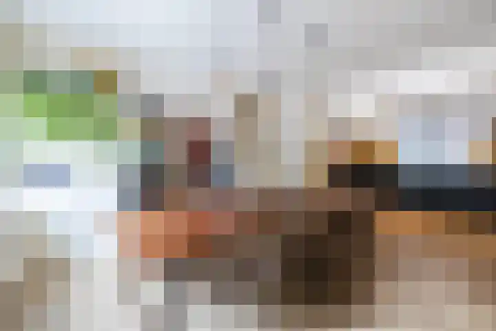 Tonnendijk 52 Vroomshoop thumbnail 13