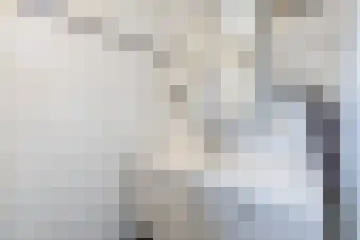 Tonnendijk 52 Vroomshoop thumbnail 17