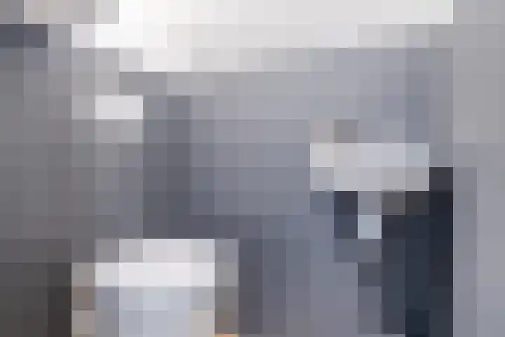 Tonnendijk 52 Vroomshoop thumbnail 20