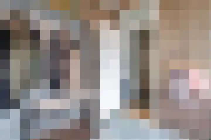 Tonnendijk 52 Vroomshoop thumbnail 23