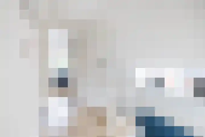 Tonnendijk 52 Vroomshoop thumbnail 27