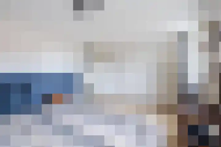 Tonnendijk 52 Vroomshoop thumbnail 30