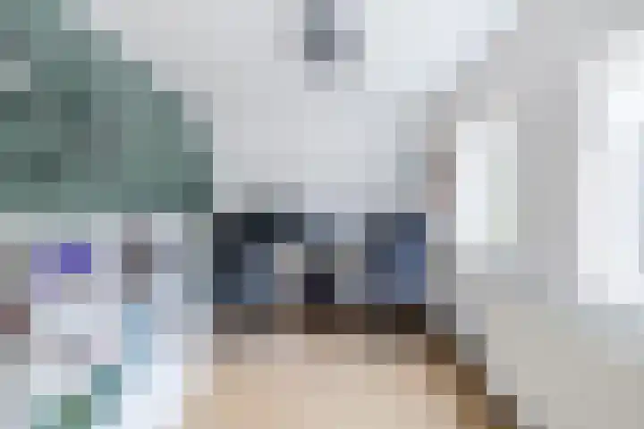 Tonnendijk 52 Vroomshoop thumbnail 31