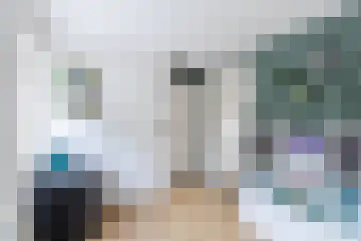 Tonnendijk 52 Vroomshoop thumbnail 32