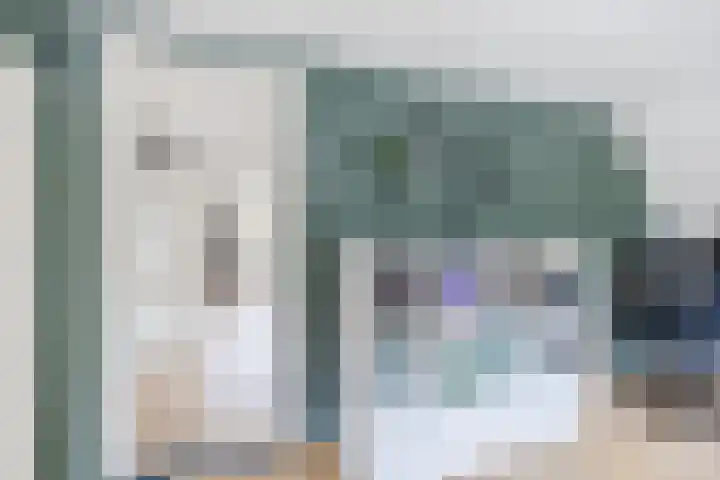 Tonnendijk 52 Vroomshoop thumbnail 33