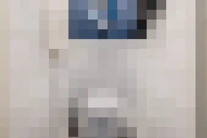 Tonnendijk 52 Vroomshoop thumbnail 37