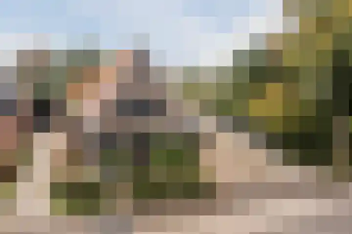 Tonnendijk 52 Vroomshoop thumbnail 38