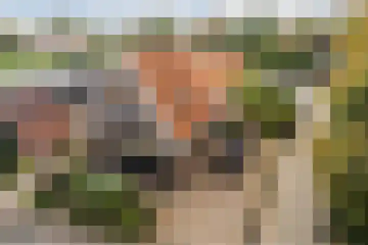 Tonnendijk 52 Vroomshoop thumbnail 39