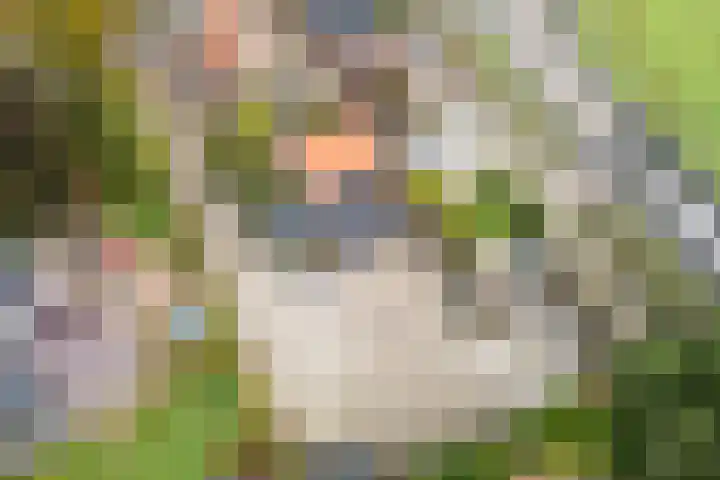 Tonnendijk 52 Vroomshoop thumbnail 4