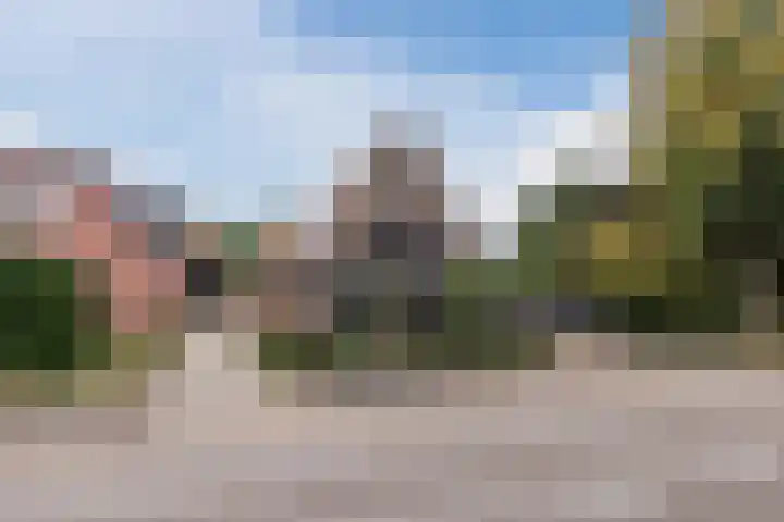 Tonnendijk 52 Vroomshoop thumbnail 41