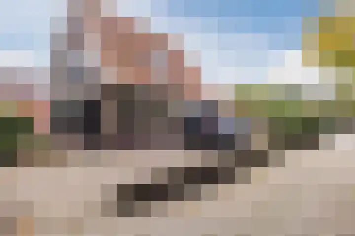 Tonnendijk 52 Vroomshoop thumbnail 42