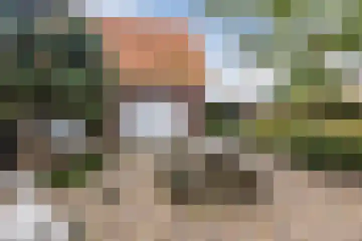 Tonnendijk 52 Vroomshoop thumbnail 43