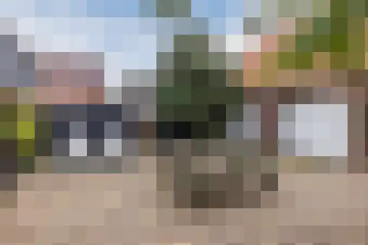 Tonnendijk 52 Vroomshoop thumbnail 44
