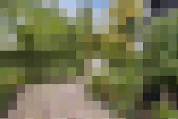 Tonnendijk 52 Vroomshoop thumbnail 46