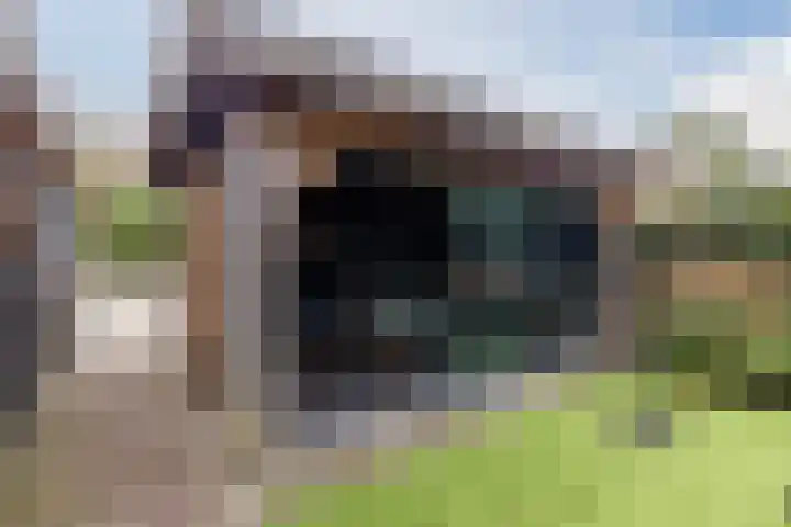 Tonnendijk 52 Vroomshoop thumbnail 48