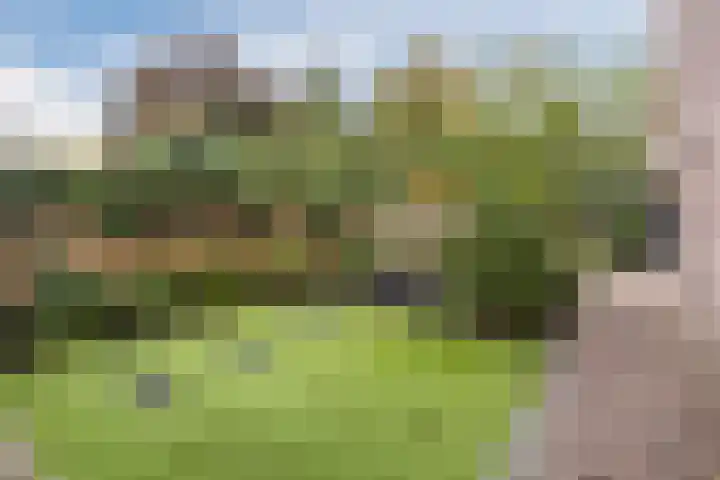 Tonnendijk 52 Vroomshoop thumbnail 49